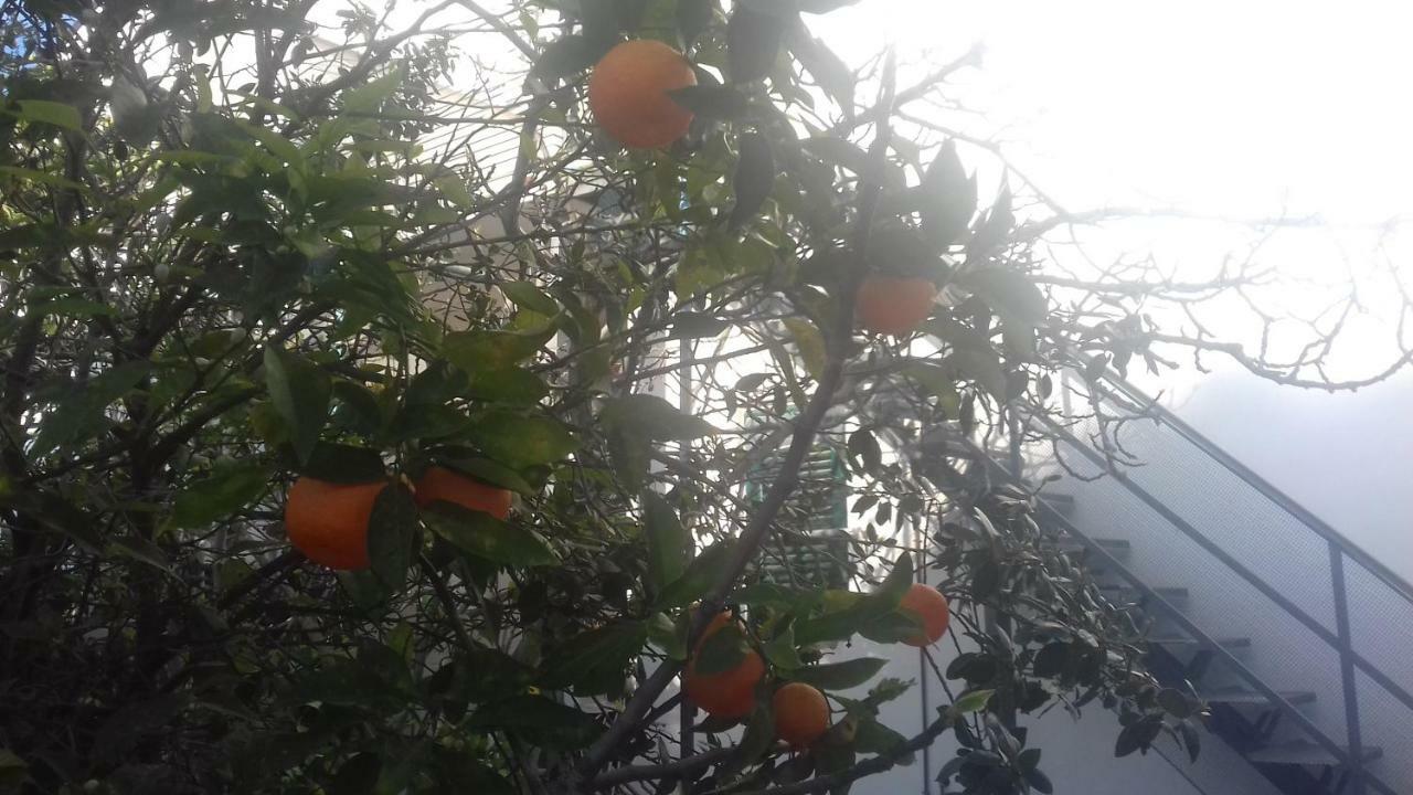 Principessa Jolanda Βίλα Mondello Εξωτερικό φωτογραφία